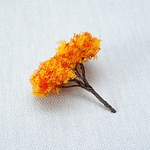 ������� �� ���������� "������ �������" 6��.