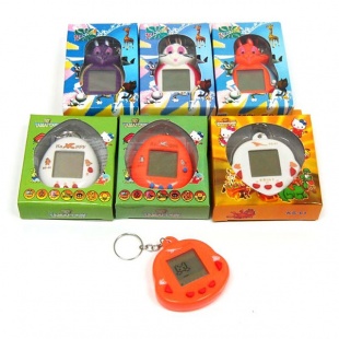 ���� �������� � ������������