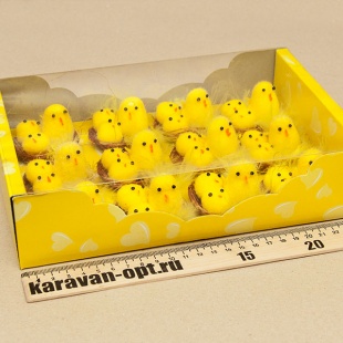 ������� ���������� �������+2�������� � ������ 12��. � �������� 25*17��.