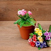 ����� ����������� ������� 5���. 21��.