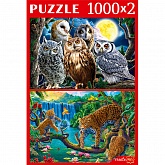 ����� 1000��. 2�1 "����� ���"