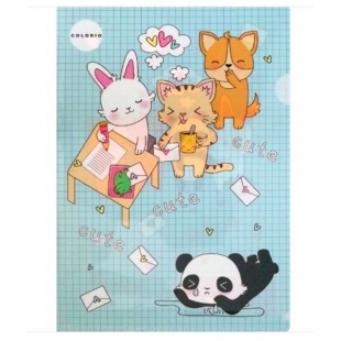 �����-������  �4 "Colorio"