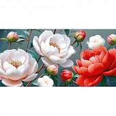 ������� ��� ����� ��� �������