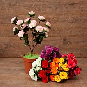 ����� ������� 5����� 35��.