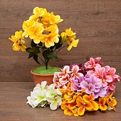 ����� �������� 7����� 53��.