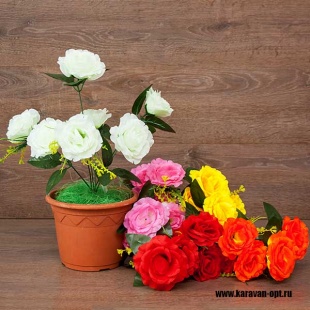 ����� ���� 5���. 38��. 4����