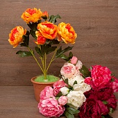 ����� ���� 6���. 60��.