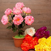 ����� ���� 7���. 65��.