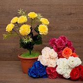 ����� ���� ����������� 7���. 50��.