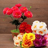 ����� ������� 7���. 52��. (�079)  10�����