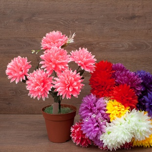 ����� ���������� 6���. 38��. (�173) 10�����