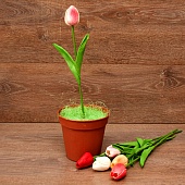 ����� ������� ����������� 34��. 12�����