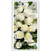 ������� ��� ����� �����������!