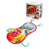 ���� ����������� ����������� 45,5�37��. (�� ��������, �������)