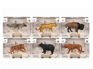 �������� 6����� � ������� 15,5*11*5,5��.