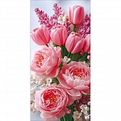 ������� ��� ����� ��� �������