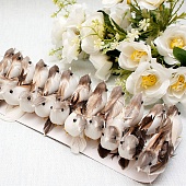 ����� "������ �� ��������" ���������� (24��.)