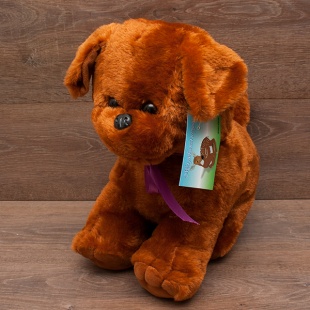 ������ ������� ������ ��������