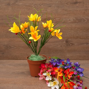 ����� ����������� � �������� 6��� 38��. (�166) 7�����