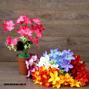 ����� ����� 6����� 33��. 7�����