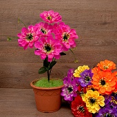 ����� ������� 6���. 50��.