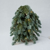 �.�. ���� �� ���������� ��������� � ��������� 35��.