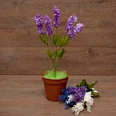 ����� ������