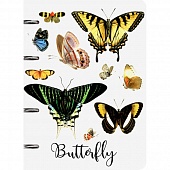       80. "Buterfly"