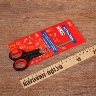 ������� 17,3��.