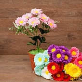 ����� ���������� 6���. 40��.