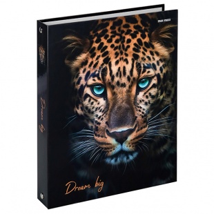 ����� �� 4-� ������� �5 "���������� ������"