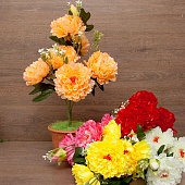 ����� ���� 8���. 65��.