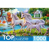  1000 . "  "