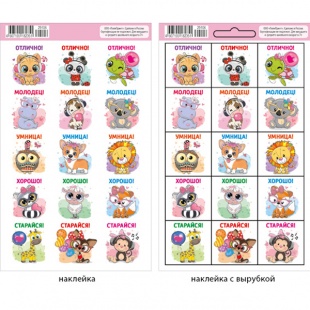 �������� �6 ������ "������ �������"