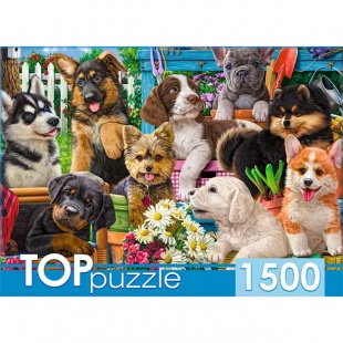 ����� 1500 ��. "�������� ������ � ����"