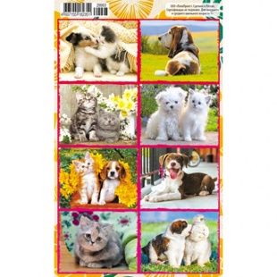 �������� �6 "����� � ������"