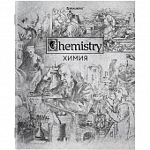 ������� ���������� 48�. ��. SILVER �������