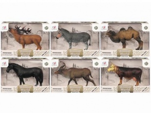 �������� 6����� � ������� 16*12*5,5��.