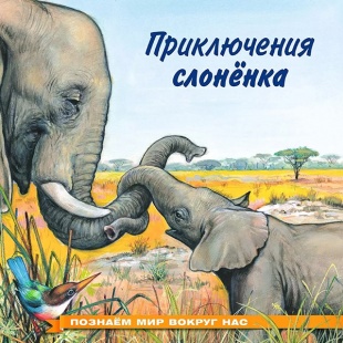 ������ "����������� ��������"