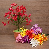 ����� �������� 7����� 70��.