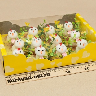 ������� ���������� ������� � ������ � ������ 12��. � �������� 25*17��.