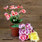 ����� ������� 7���. 35��. 4����