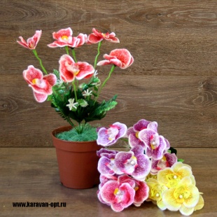 ����� ������� 7���. 35��. 4����