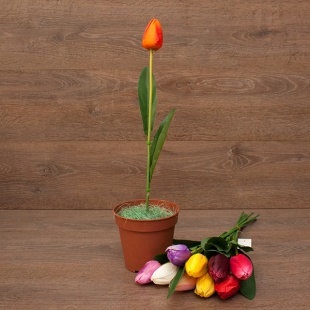 ����� ������� ��������� 40��. (�071) 10�����