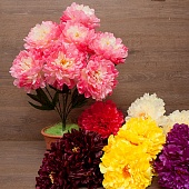 ����� ���� 7���. 73��.