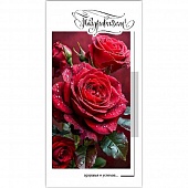 ������� ��� ����� �����������!