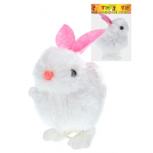 �������� ������ 6*4*7��.