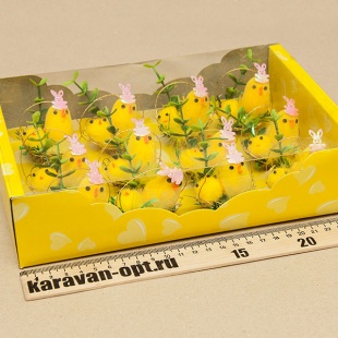 ������� ���������� ������� � ��������� � ������������� �������� 12��. � �������� 25*17��.