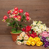 ����� ������� 13�����  50��.