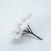 ������� �� ���������� "������ �����" 6��.